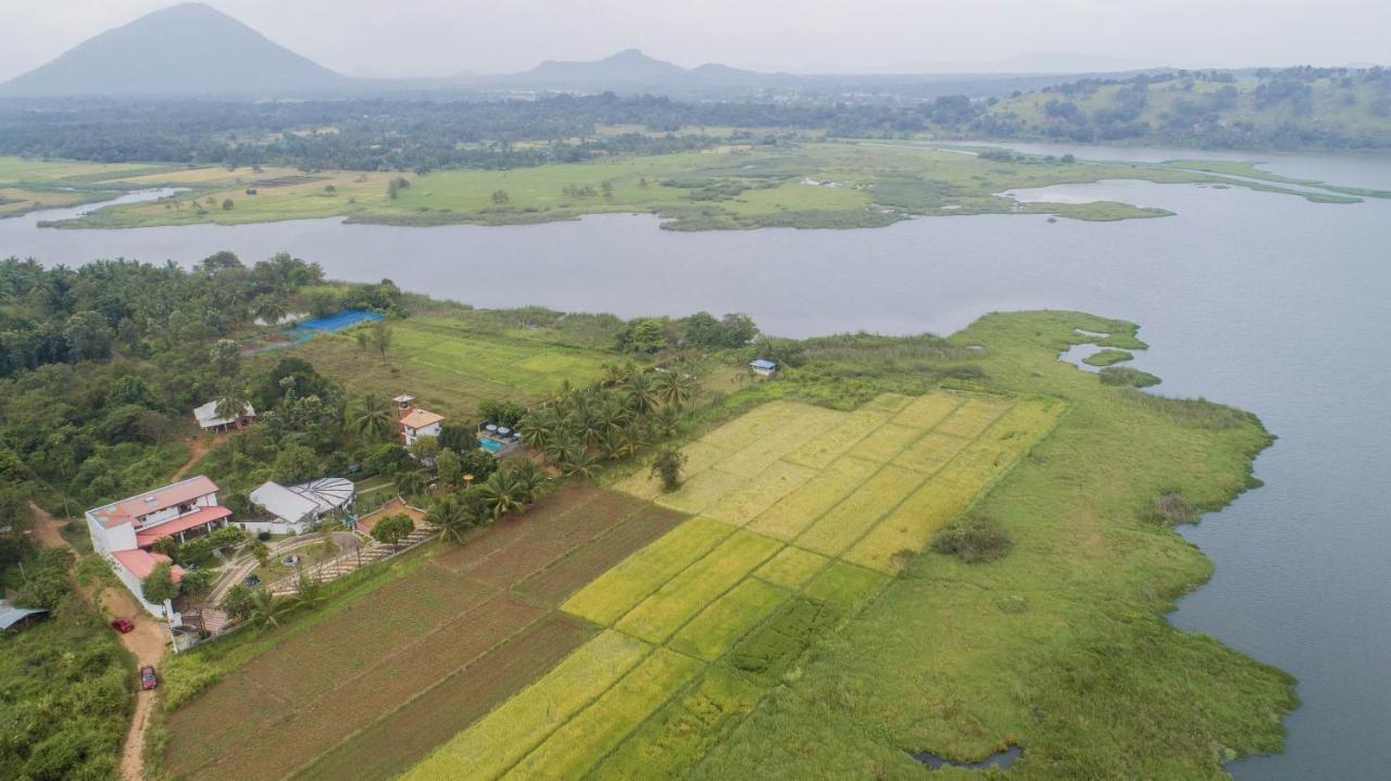 Nilambara Lake View Dambulla Ngoại thất bức ảnh