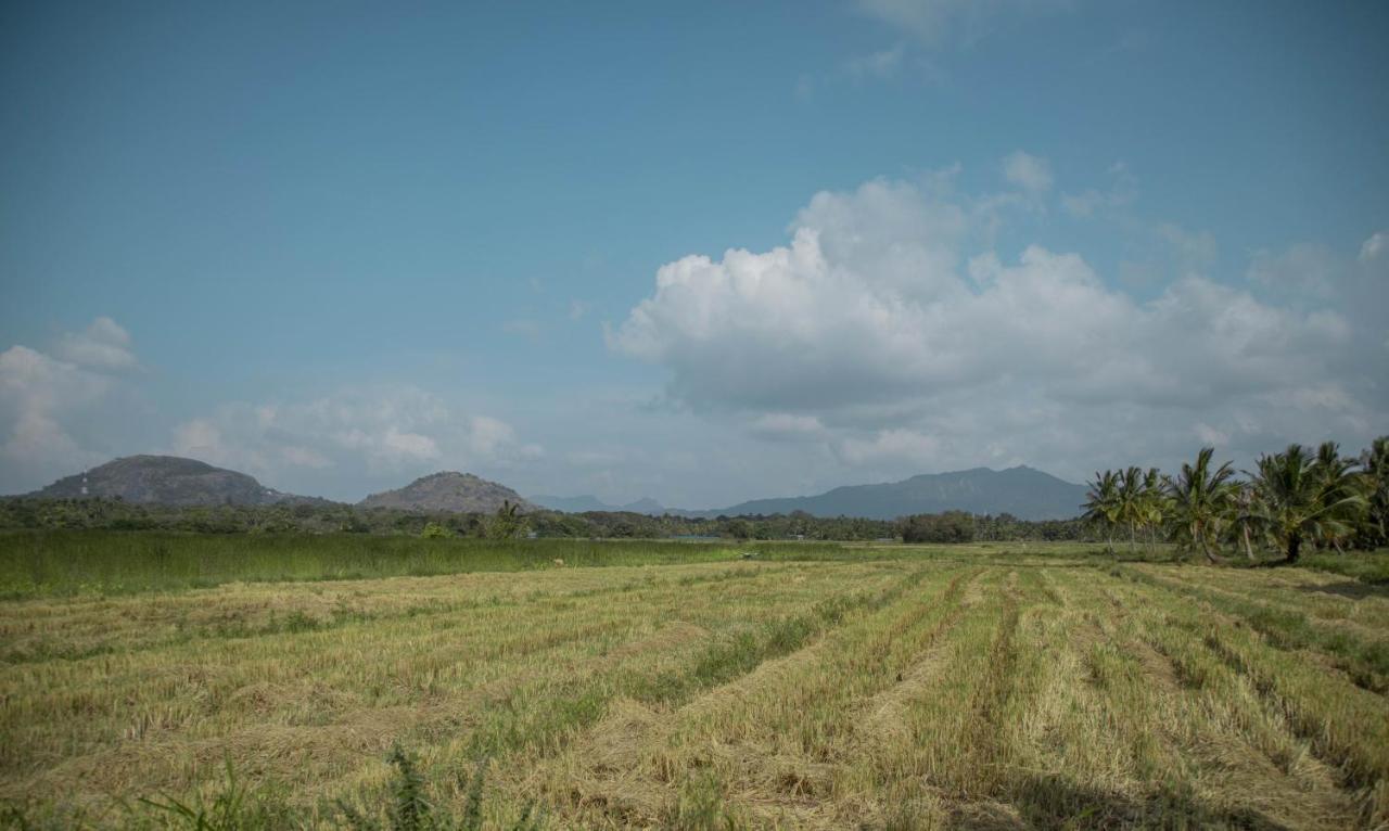 Nilambara Lake View Dambulla Ngoại thất bức ảnh